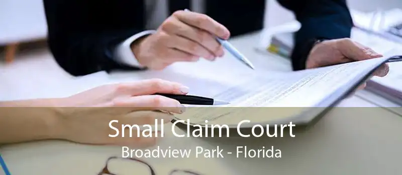 Small Claim Court Broadview Park - Florida