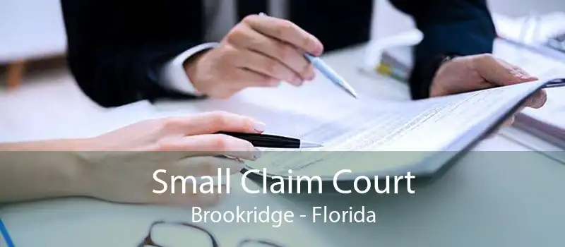 Small Claim Court Brookridge - Florida