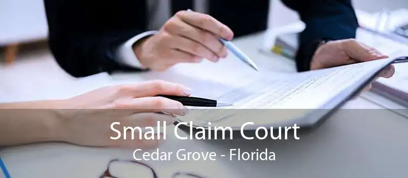 Small Claim Court Cedar Grove - Florida