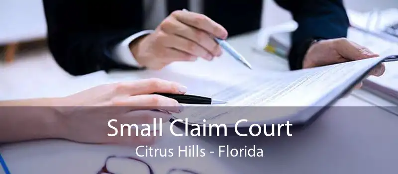 Small Claim Court Citrus Hills - Florida