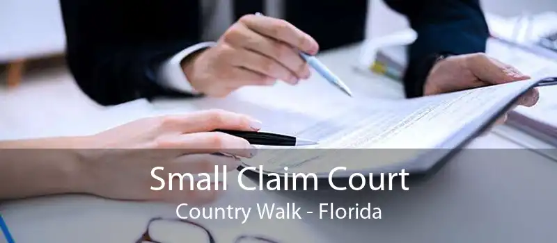 Small Claim Court Country Walk - Florida