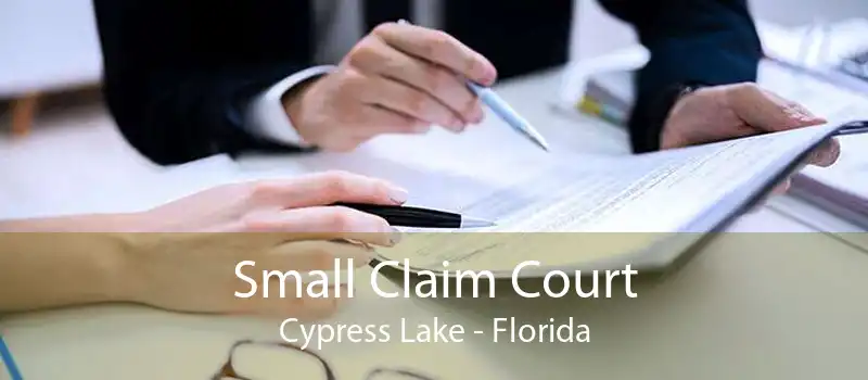 Small Claim Court Cypress Lake - Florida