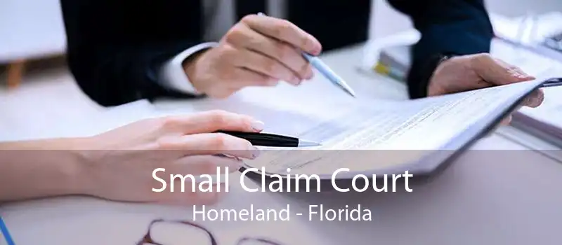 Small Claim Court Homeland - Florida