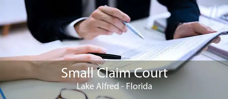 Small Claim Court Lake Alfred - Florida