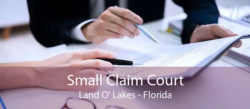 Small Claim Court Land O' Lakes - Florida