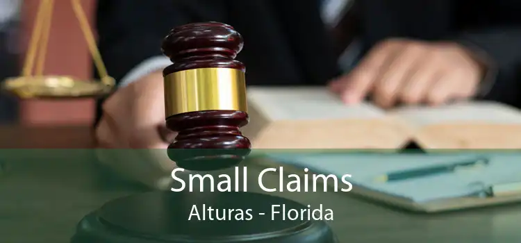 Small Claims Alturas - Florida