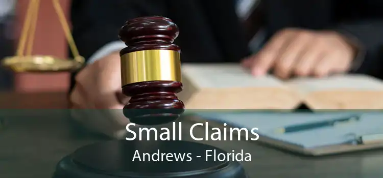 Small Claims Andrews - Florida