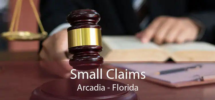 Small Claims Arcadia - Florida