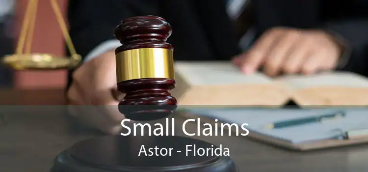 Small Claims Astor - Florida