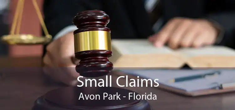 Small Claims Avon Park - Florida