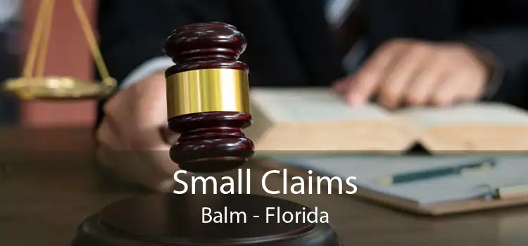 Small Claims Balm - Florida