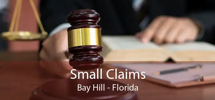 Small Claims Bay Hill - Florida