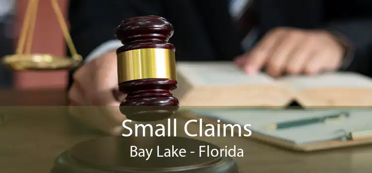 Small Claims Bay Lake - Florida