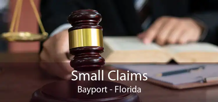 Small Claims Bayport - Florida