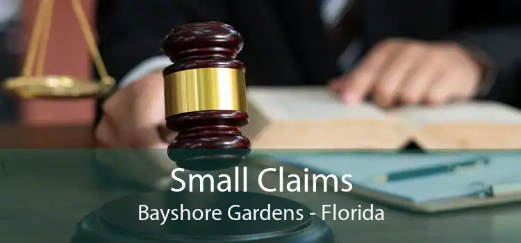 Small Claims Bayshore Gardens - Florida