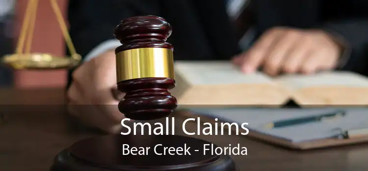 Small Claims Bear Creek - Florida