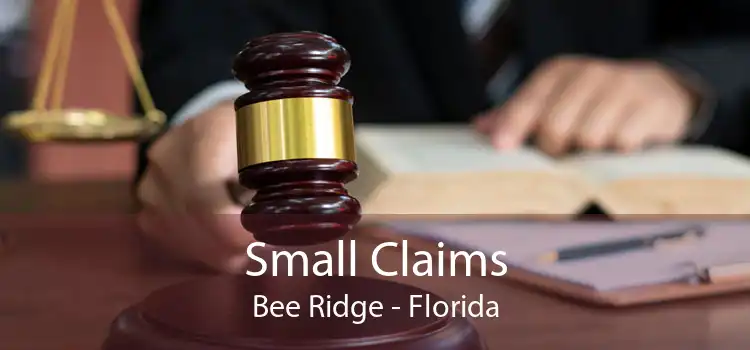 Small Claims Bee Ridge - Florida