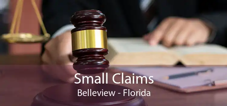 Small Claims Belleview - Florida