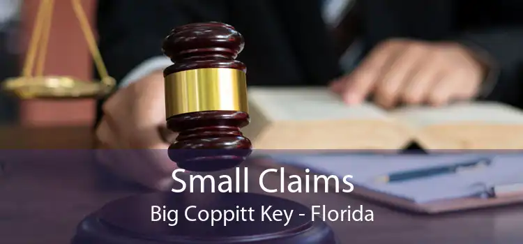 Small Claims Big Coppitt Key - Florida