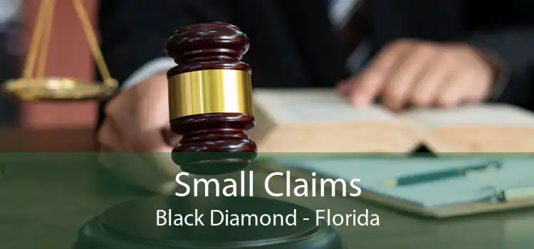 Small Claims Black Diamond - Florida