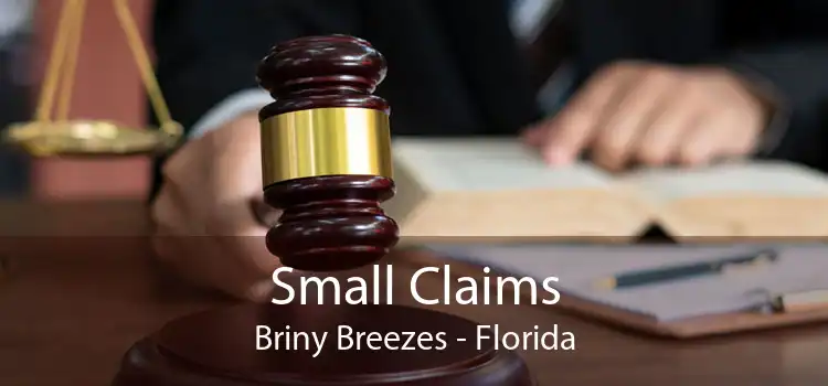 Small Claims Briny Breezes - Florida