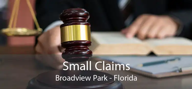 Small Claims Broadview Park - Florida