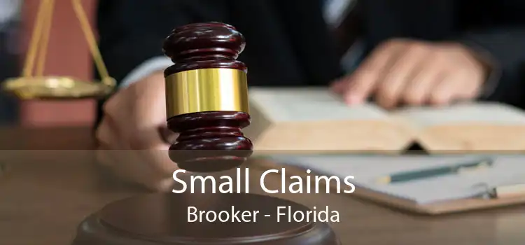 Small Claims Brooker - Florida