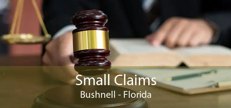 Small Claims Bushnell - Florida