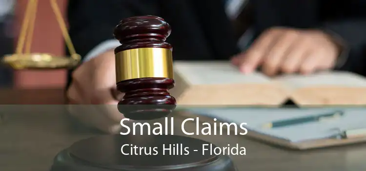 Small Claims Citrus Hills - Florida