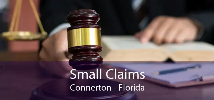 Small Claims Connerton - Florida