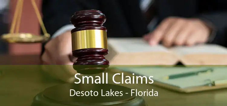 Small Claims Desoto Lakes - Florida