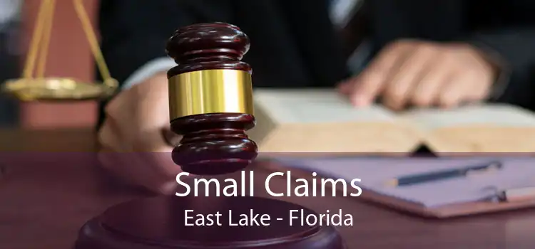 Small Claims East Lake - Florida