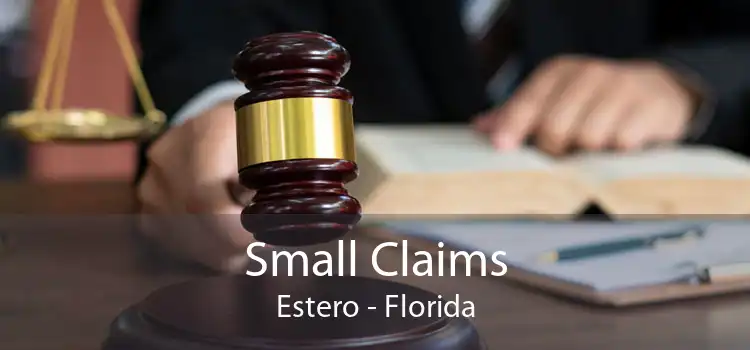 Small Claims Estero - Florida