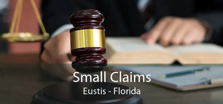 Small Claims Eustis - Florida