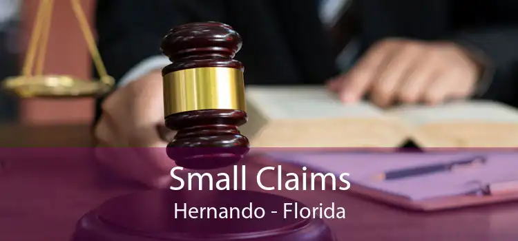 Small Claims Hernando - Florida