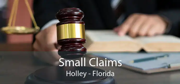 Small Claims Holley - Florida