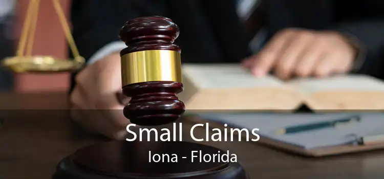 Small Claims Iona - Florida