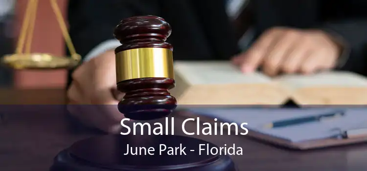 Small Claims June Park - Florida