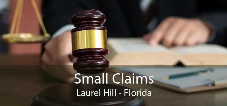 Small Claims Laurel Hill - Florida