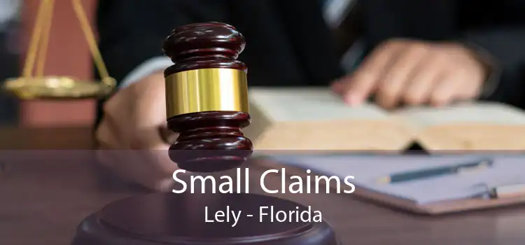 Small Claims Lely - Florida