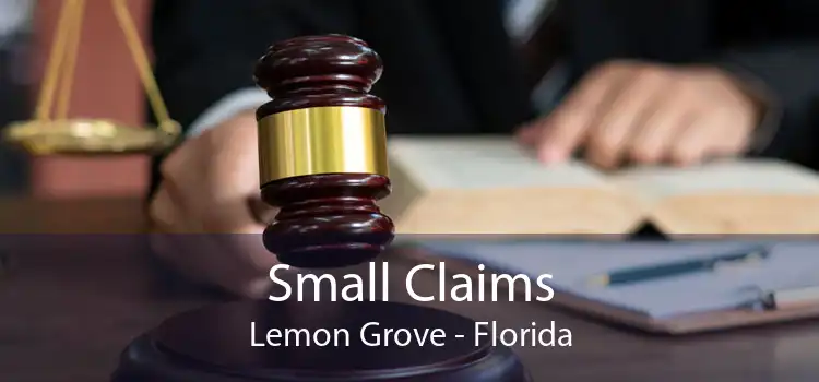 Small Claims Lemon Grove - Florida