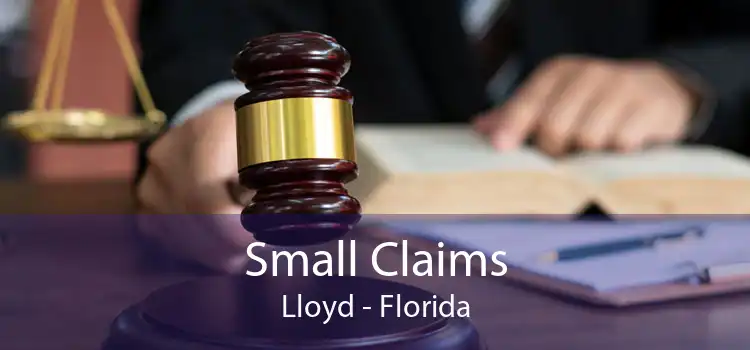 Small Claims Lloyd - Florida