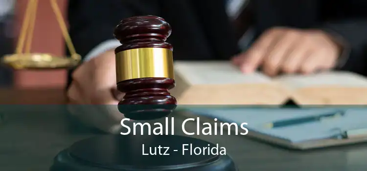 Small Claims Lutz - Florida