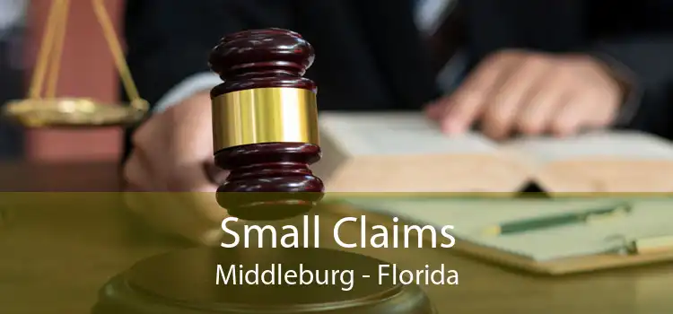 Small Claims Middleburg - Florida