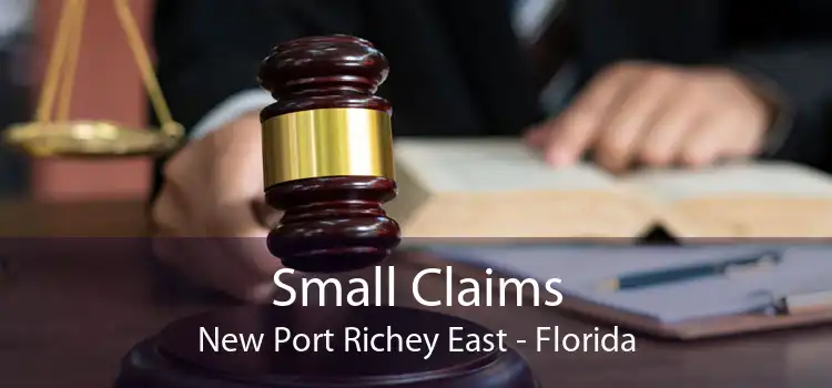 Small Claims New Port Richey East - Florida