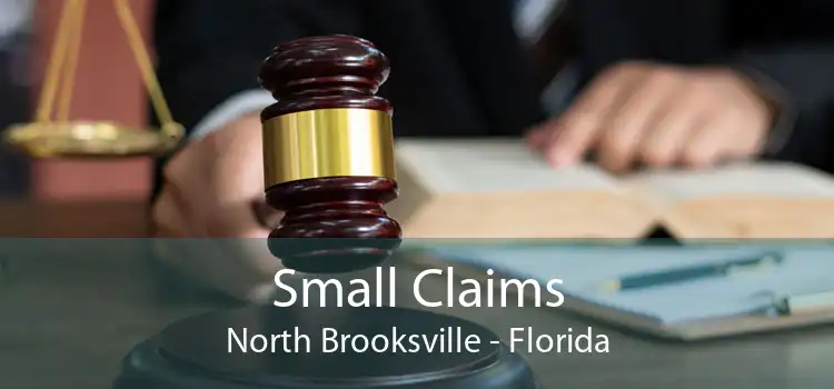 Small Claims North Brooksville - Florida