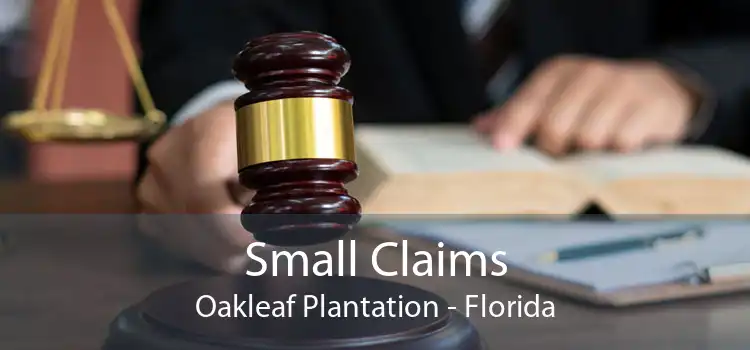 Small Claims Oakleaf Plantation - Florida