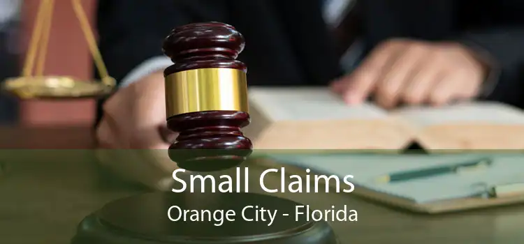 Small Claims Orange City - Florida