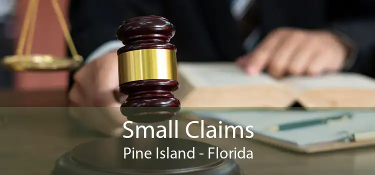 Small Claims Pine Island - Florida