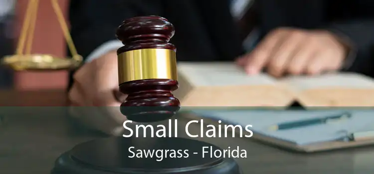 Small Claims Sawgrass - Florida